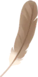 宝物の羽根