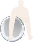 給仕のトレー