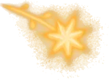 星の実の植物