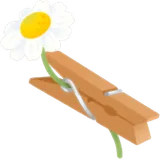 カモミールが付いた洗濯バサミ