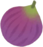 祈りを込めた無花果