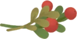 クリスマスグリーンの束