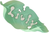 お気に入りの葉っぱ