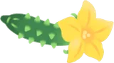 早摘み花丸キュウリ