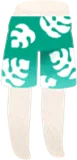 モンステラパンツ