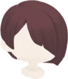 妖精の執事の髪