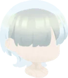 シルバーウルフカットヘア