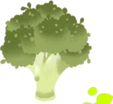 生のブロッコリー