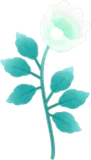 力強く咲く一輪の白い花