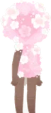 咲き誇る桜