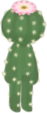 陽だまりサボテン