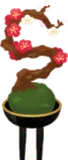 梅の盆栽