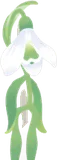 冬のスノードロップ・元気