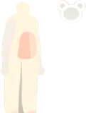 キャンディスノーボディ