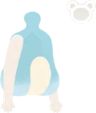 ヒメゼルラボディ