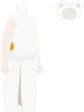 ポムフロートボディ