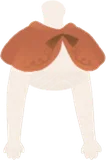 紅茶色のケープ