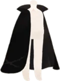 かの詩人のロングマント