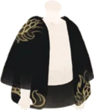 龍の黒羽織
