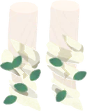 からまる木の根