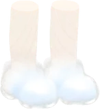 水の妖精の靴