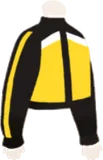 カンフージャージ・上