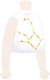 星座柄ノースリーブシャツ