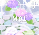 ♪雨の日のサンルーム