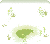 空き地まわりの雑草の背景