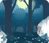 神秘の森・夜