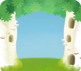 白い幹の見える庭