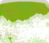芝生の庭