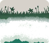 夜の庭