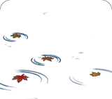 もみじが浮かぶ水面