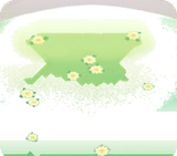 白い小花の咲く丘