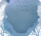 海中の壁紙