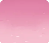 桜の花びらが降り積もった地面