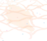 床に描かれた海の底の模様