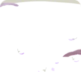 藤の花びらが積もった床