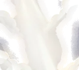 光が差し込む空