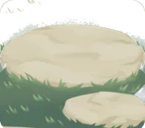 飛石がある庭
