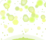 きらきら光る緑