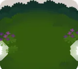 秋ブドウの森の地面