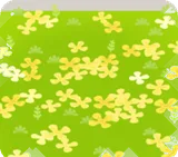 金木犀の花が散った朝の森の地面