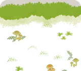 キノコの生えている苔むした地面
