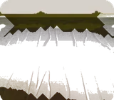 苔に覆われた木の床