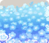 一面に広がるネモフィラ畑