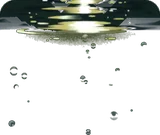 神秘的な水中空間