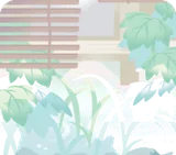青々と生い茂る庭