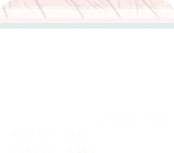 夏の陽に照らされる畳